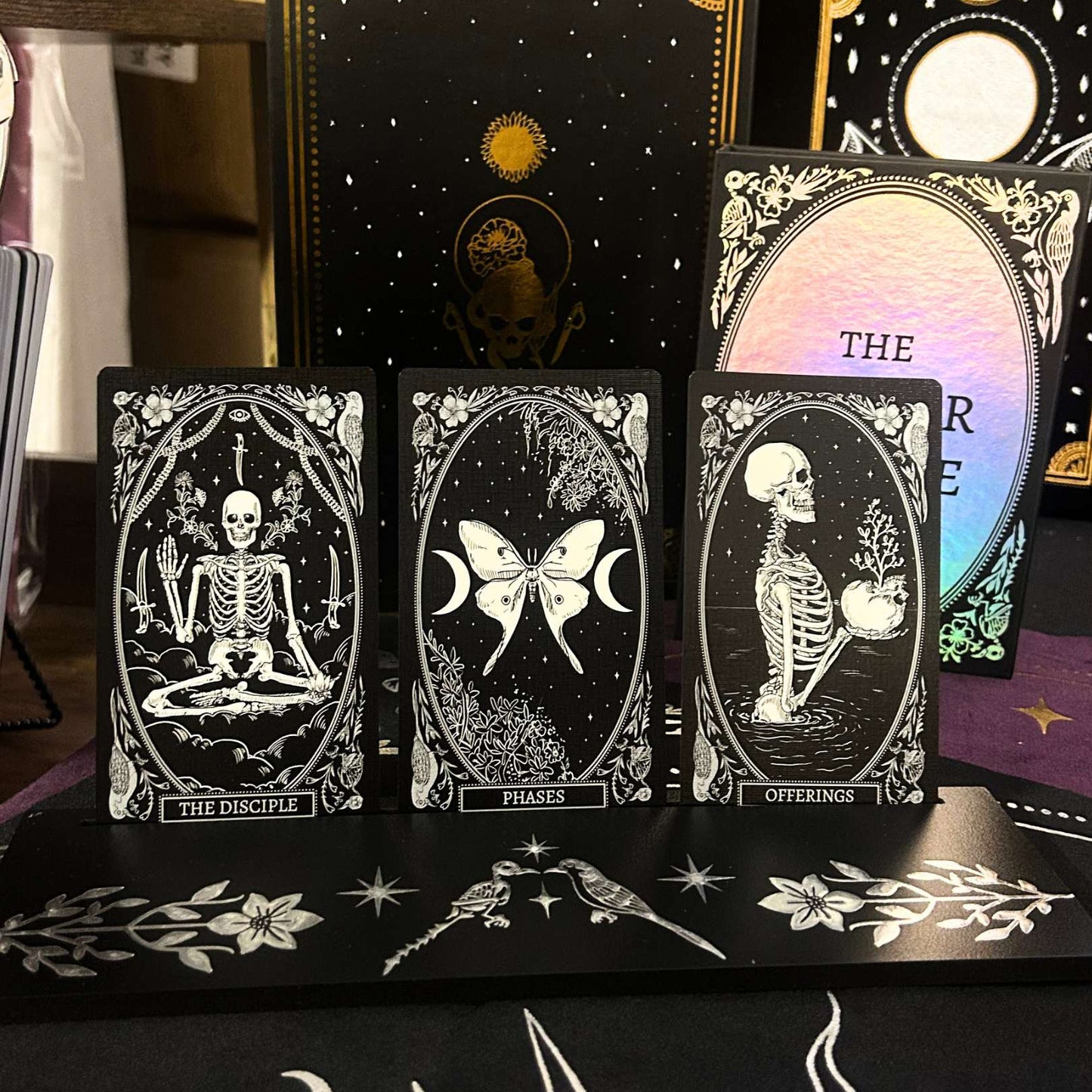 Set of tarot cards with skeleton and nature-themed designs on a black surface.