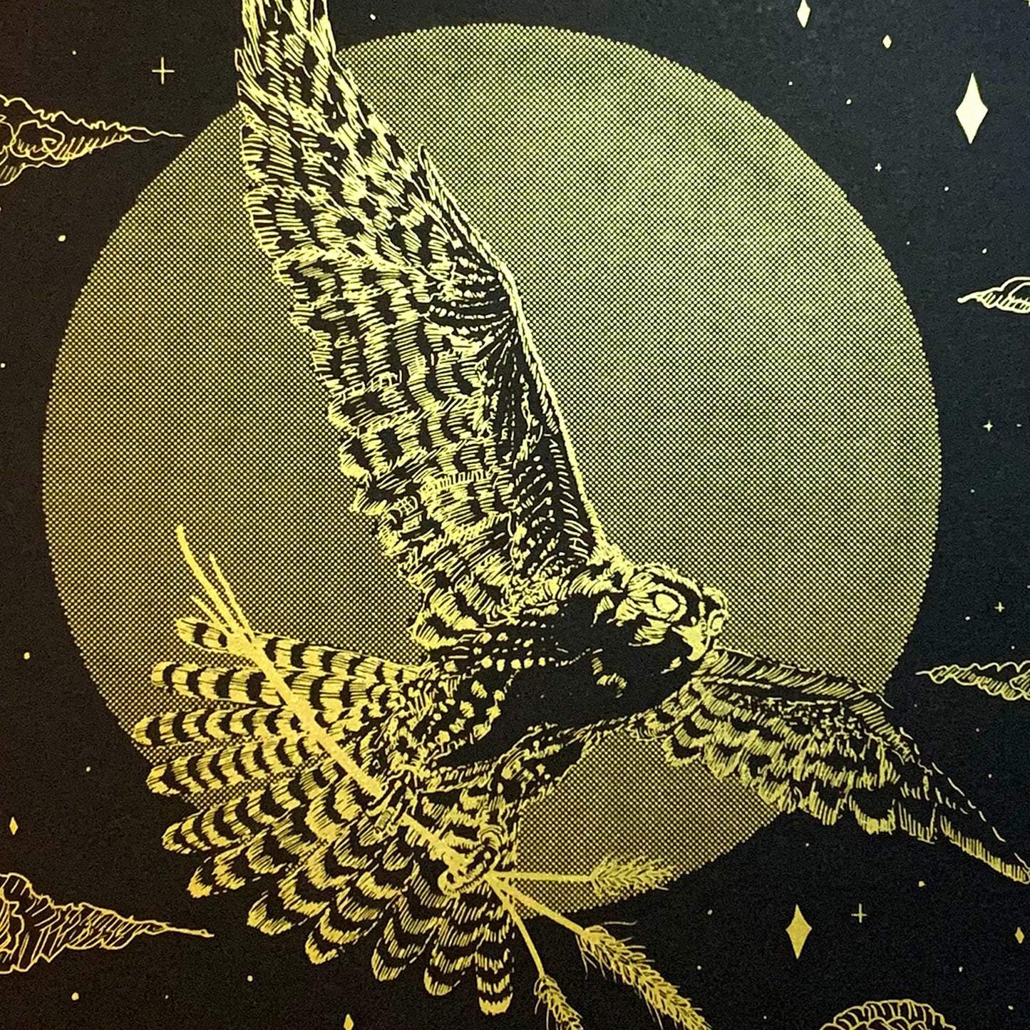 ਬਾਜ਼ / Baaz Art Print