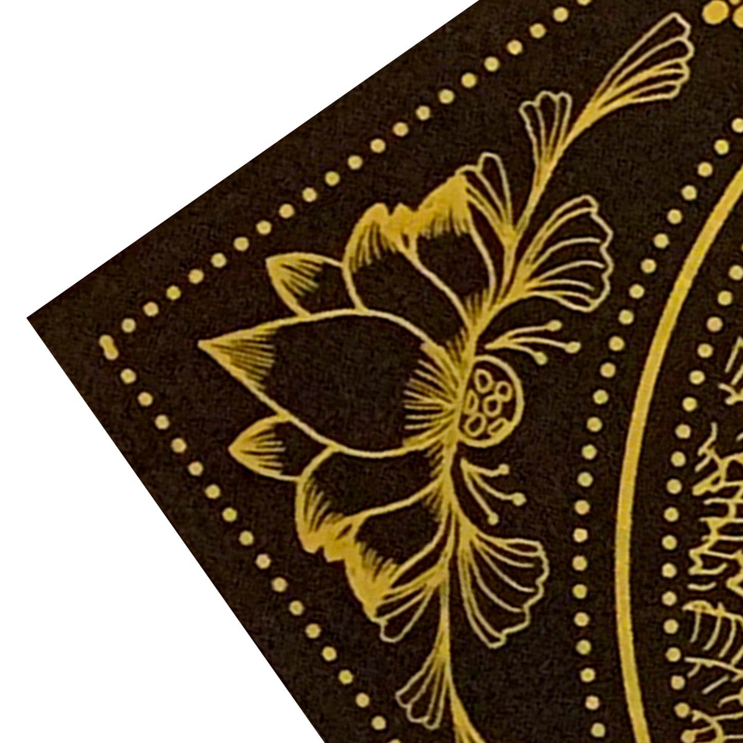 ਬਾਜ਼ / Baaz Art Print