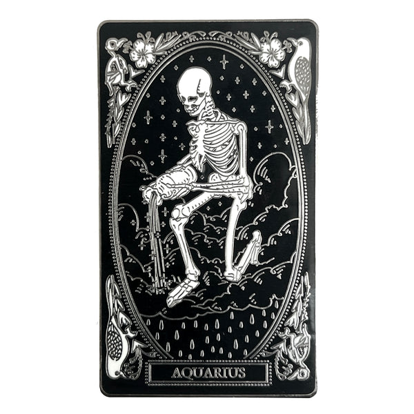 Hard-Enamel Zodiac Pin - Aquarius