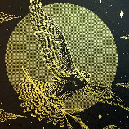 ਬਾਜ਼ / Baaz Art Print