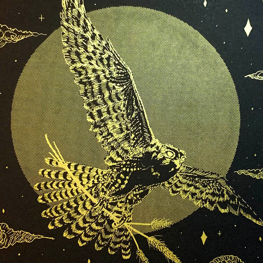 ਬਾਜ਼ / Baaz Art Print