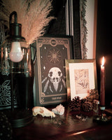 Tarot The Star print from the Marigold Tarot deck by Amrit Brar and 13th Press. With skull and candle decor on altar. Skeleton and feathers and pine cones. Gold ink