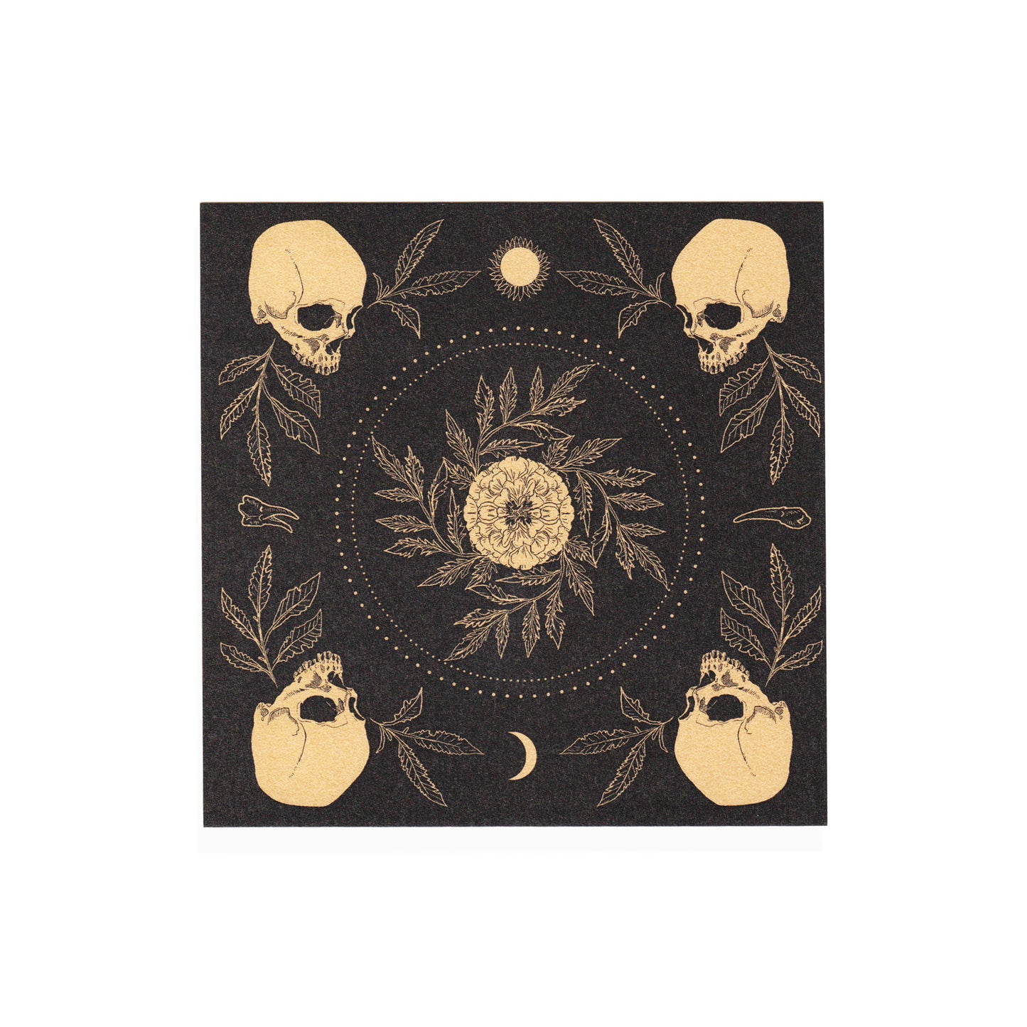Print - "Teeth and Bone" 5.5"x5.5"